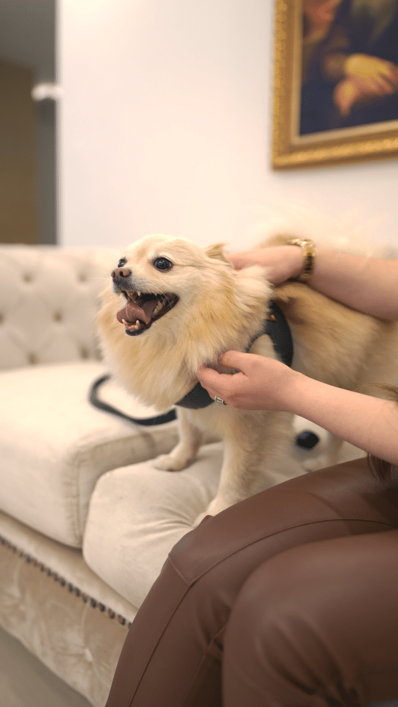 Pet friendly, hotel en chiquinquirá